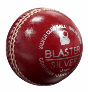 Blaster Silver Cricket Ball