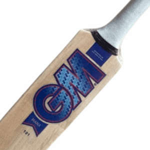 GM Mana 101 Kashmir Willow Cricket Bat