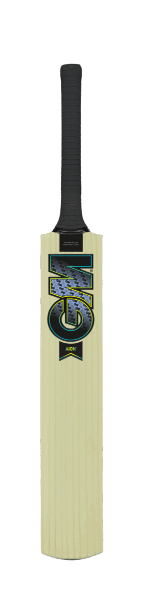 GM Aion 101 Kashmir Willow Cricket Bat