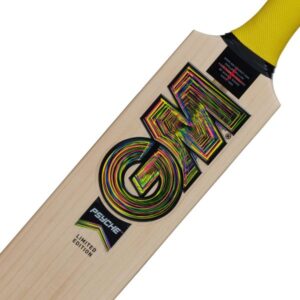GM Psyche L540 DXM Cricket Bat