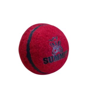 Summit Bouncer Cricket Ball